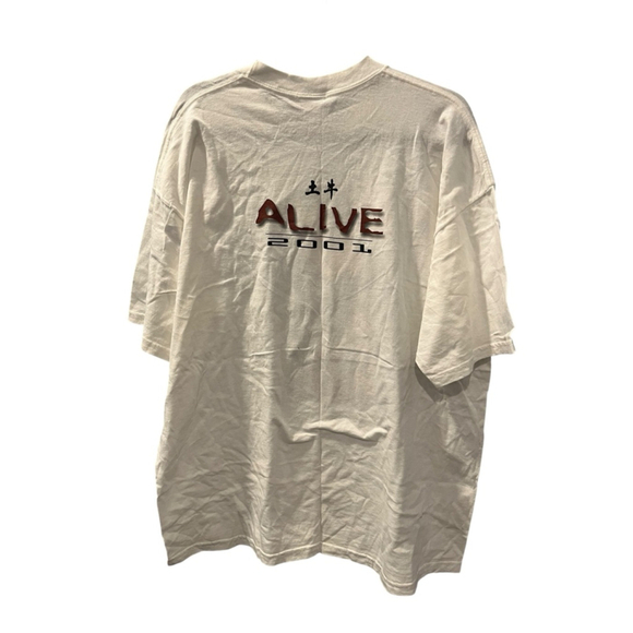 Vintage 2001 Rick Springfield Alice Tour Las Vegas Short Sleeve T-Shirt Size XL - Picture 4 of 5